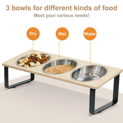 Elevated Cat Bowls with 3 Stainless Steel Bowls 15° Tilted Anti-Vomiting Raised Cat Food Bowl for Small Cats Puppies Accessories