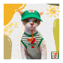 Fashion Spring Summer T-Shirt with Hat for Sphynx Cat Clothing Short Sleeves Striped Vest for Kittens Elestic Coat For Devon