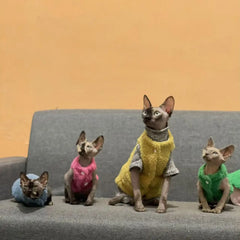 Cat clothes, warm lamb wool vest, autumn and winter teddy pomeranian pet winter clothes, cute korean clothes