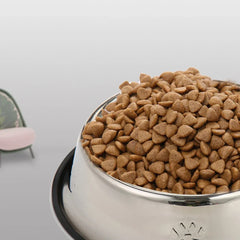 Cat Feeding Stainless Steel Pet Bowl Feed Water Food Bowls Multi-Specification Dog Cat Feeder Pet Supplies Dog Bowl