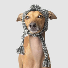 Winter Pet Dog Knitted Hat Warm Windproof Pet Hats Woolen Fashion Cat Headband Autumn and Winter Fur Ball Warm Windproof Pet Hat