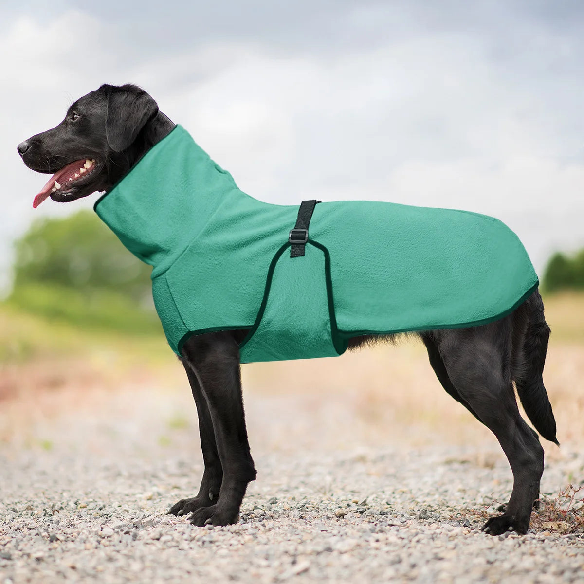 Clothes For Large Dogs Winter Warm Big Dog Vest Jacket  Pet Dogs Coat Greyhound Doberman Clothes For Medium Large Dogs