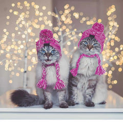 Autumn Winter Pet Hats Pet Puppy Warm Fluffy Ball  Knitted Hat Windproof Knitting Cap For Small Medium Dogs Pet Supplies