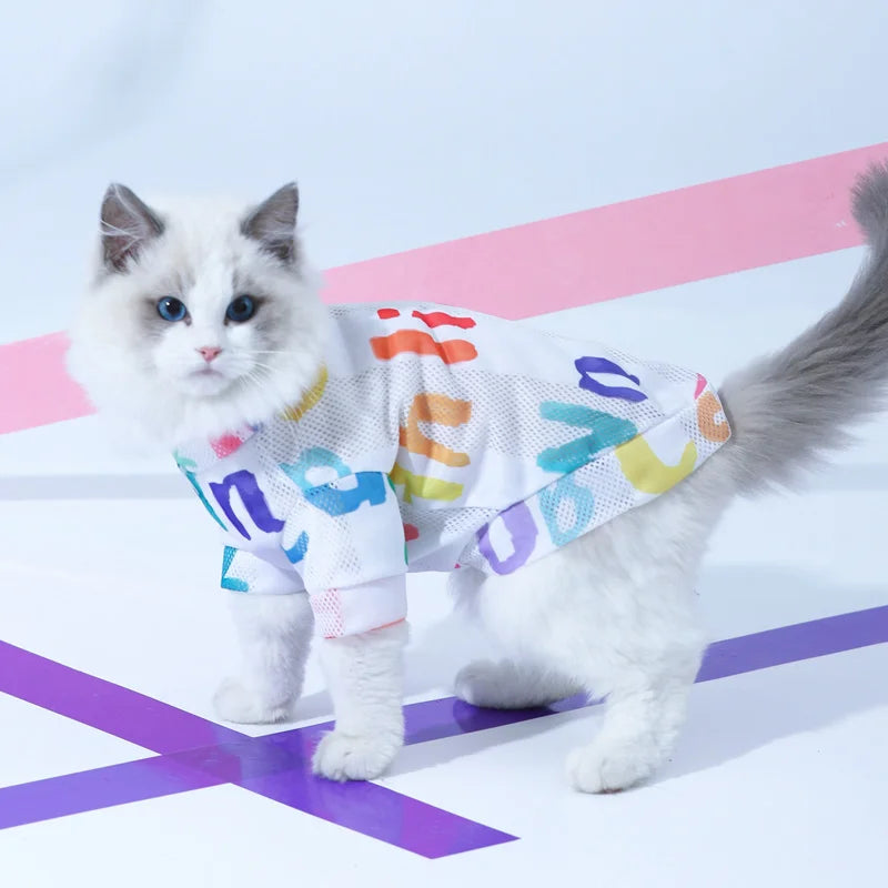 HOOPET Summer Male Cat Kitten Summer Vest Cat Cat Pet Anti-hair Loss Cat Cat Clothes Thin Puppet kitten Blue Cat