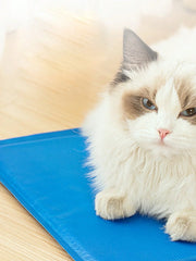 1pc-Dog cooling pad Pet cooling pad, no water or cooling non-toxic gel