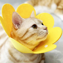 Pet Protective Collar Cat Dogs Health Medical Circle Dog Neck Cone Recovery Cone Collar for Anti-Bite Lick Surgery Wound Healing