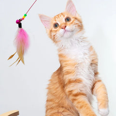 2PCS Feather Cat Teasing Rod Bell Bird Cat Toy Elastic Wire Stick Flexible Interactive Pet Supplies