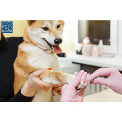 Dog Nail Filer,Nail Grooming Tool,Dog and Cat Nail Files,for Smoothing Rough Edges of Pet’s Nails, Nail Filer for Dogs & Cats