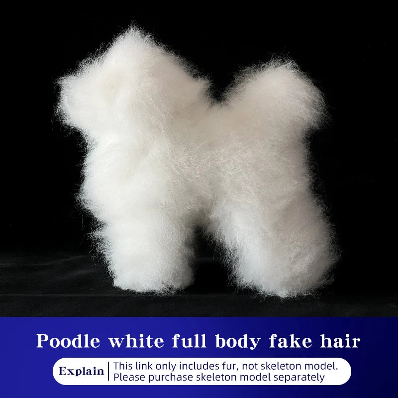 Pet simulation hair  beauty fake beautician practicing dog standard poodle full body  skeleton model dog for pet grooming
