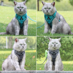 Fashion Breathable Mesh Pet Harnesses Cat Harness Chest Strap  With Adjustable Pet Vest Harness For Large Cat Small Dog