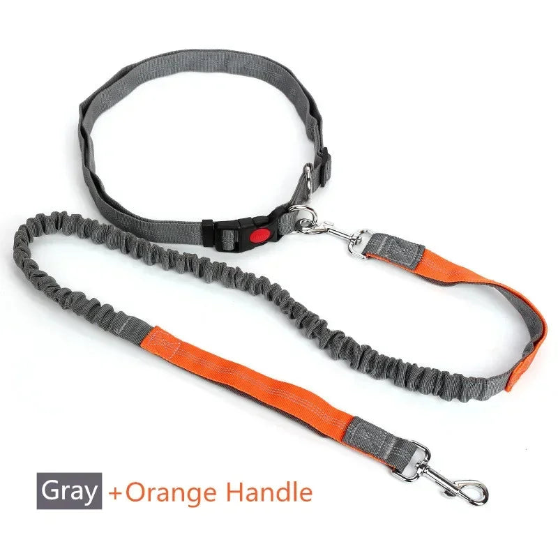 Retractable Dog Leash with Adjustable Waist Rope Hand Free Running Jogging Cycling Big Dogs Pet Elasticity Lead Pet Supplies