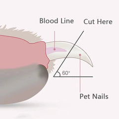Professional Pet Nail Clippers for Dogs Cats & Small Animals LED Light Included Paw Nail Trimmer Grooming Scissors Pet Supply