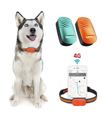 Smart 4G Mini Gps Tracker for Dogs Pet Waterproof Remote Control Location Anti-loss Real-time Tracker for Cat Accessories Pets